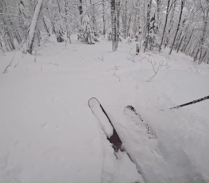 WhiteRoom Custom Skis Handcrafted in Vermont